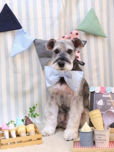 20250531小鉄くん